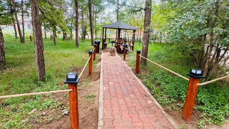 Ногоон байгууламж байгууллаа